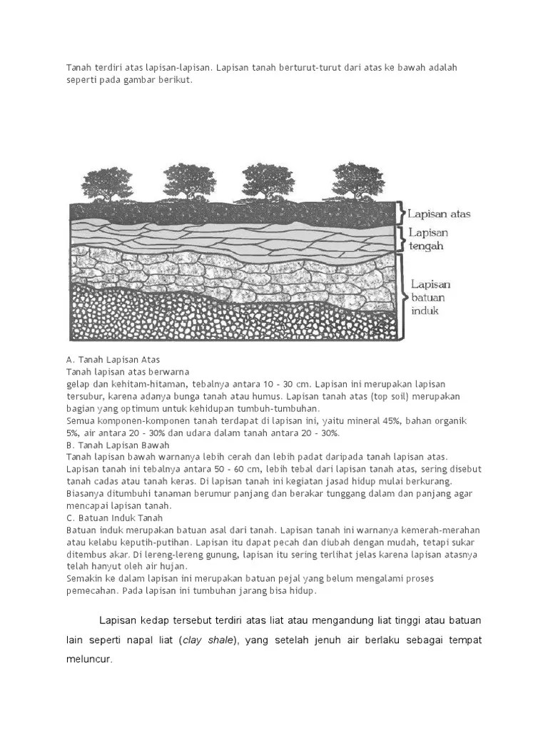 Lapisan Tanah | PDF