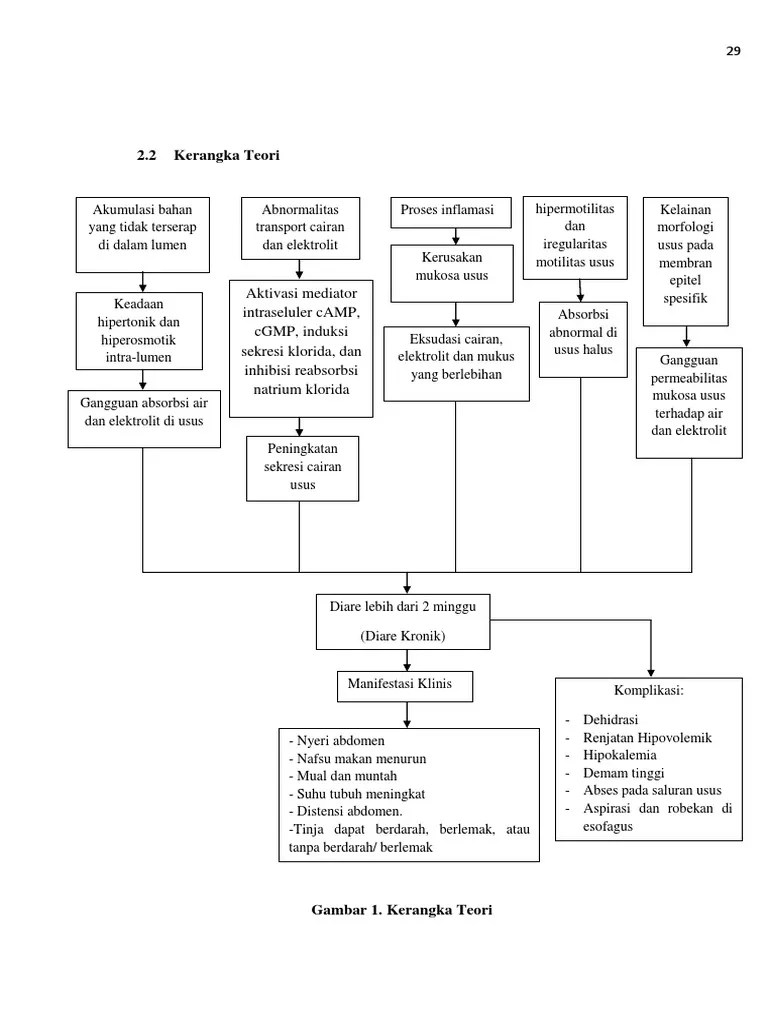 BAB II Kerangka Teori Diare Kronik | PDF