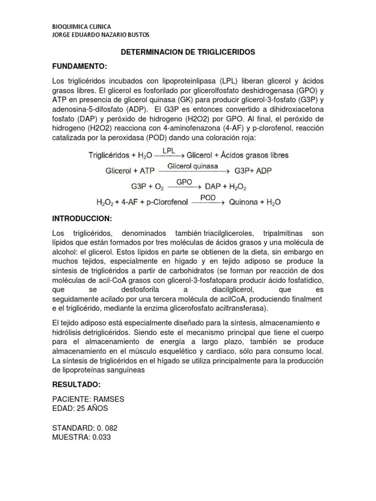 Determinación De Triglicéridos En Suero: Fundamentos, Cálculos Y ...