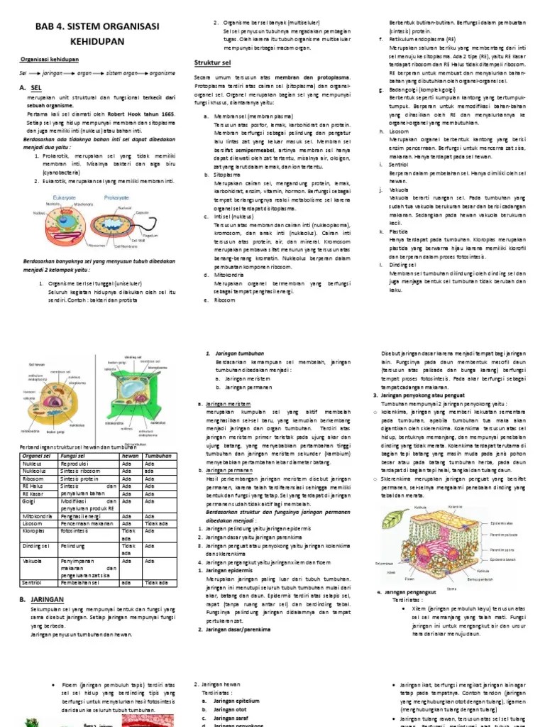 Soal Sistem Organisasi Kehidupan – Rasanya