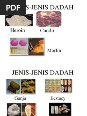 Banyak contoh negara luar yang membenarkan ganja mencatat bilangan jenayah. Jenis Dadah Dan Sebab Penggunaan Dadah Pdf