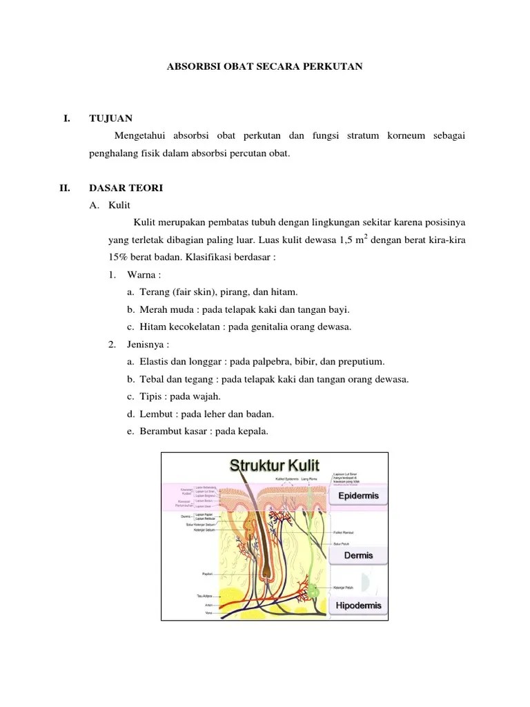 Laporan Biofarmasetika Fix | PDF