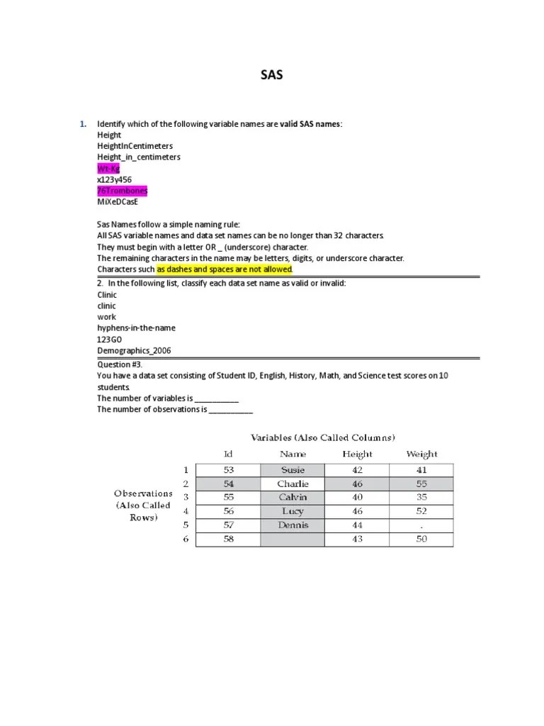 SAS - Notes - Basics | PDF | Variable (Computer Science) | Sas (Software)