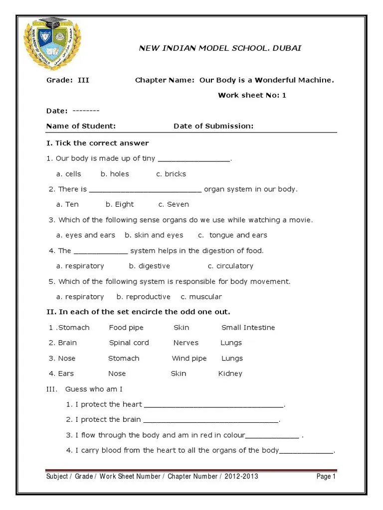 grade 3 pdf human body animal physiology