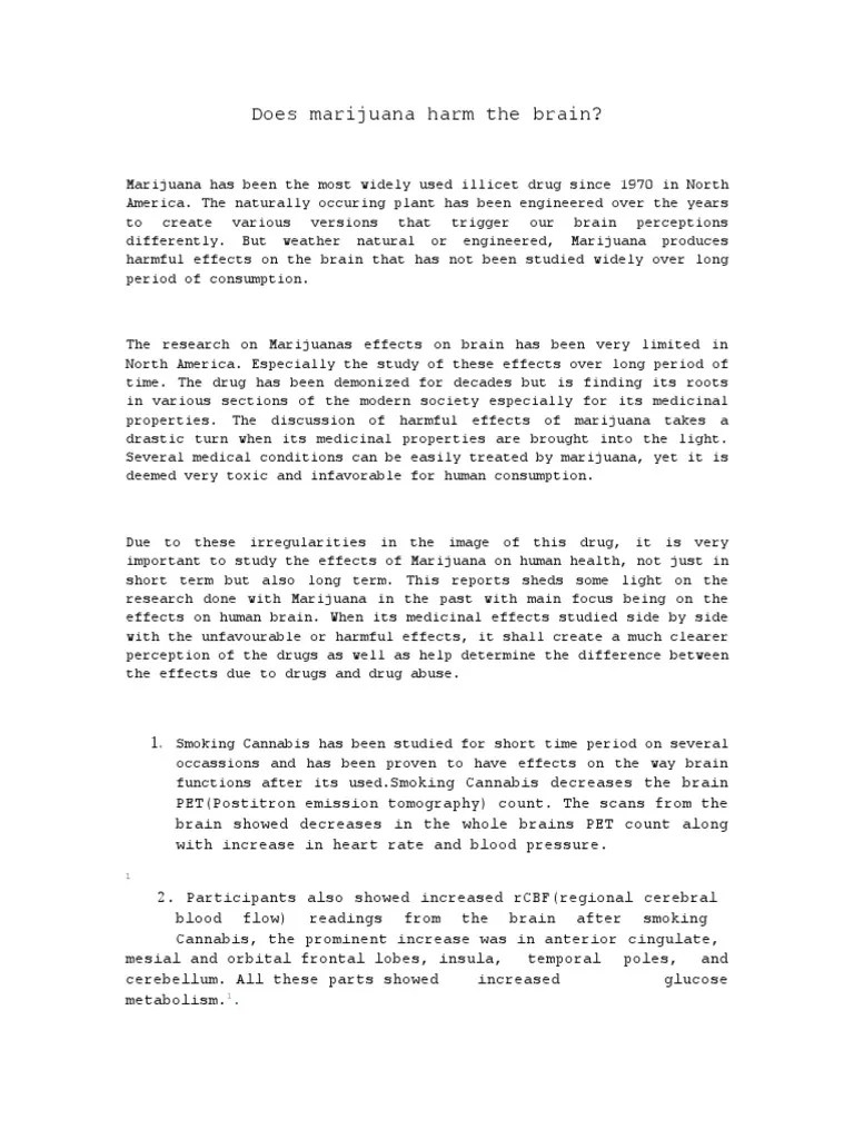 Marijuana Effects On Human Brain | PDF | Cannabis (Drug) | Brain