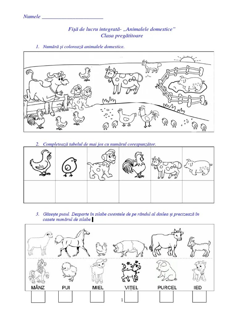 Material care poate face parte din portofoliul profesorului. Fisa Lucru Animale Domestice Pdf