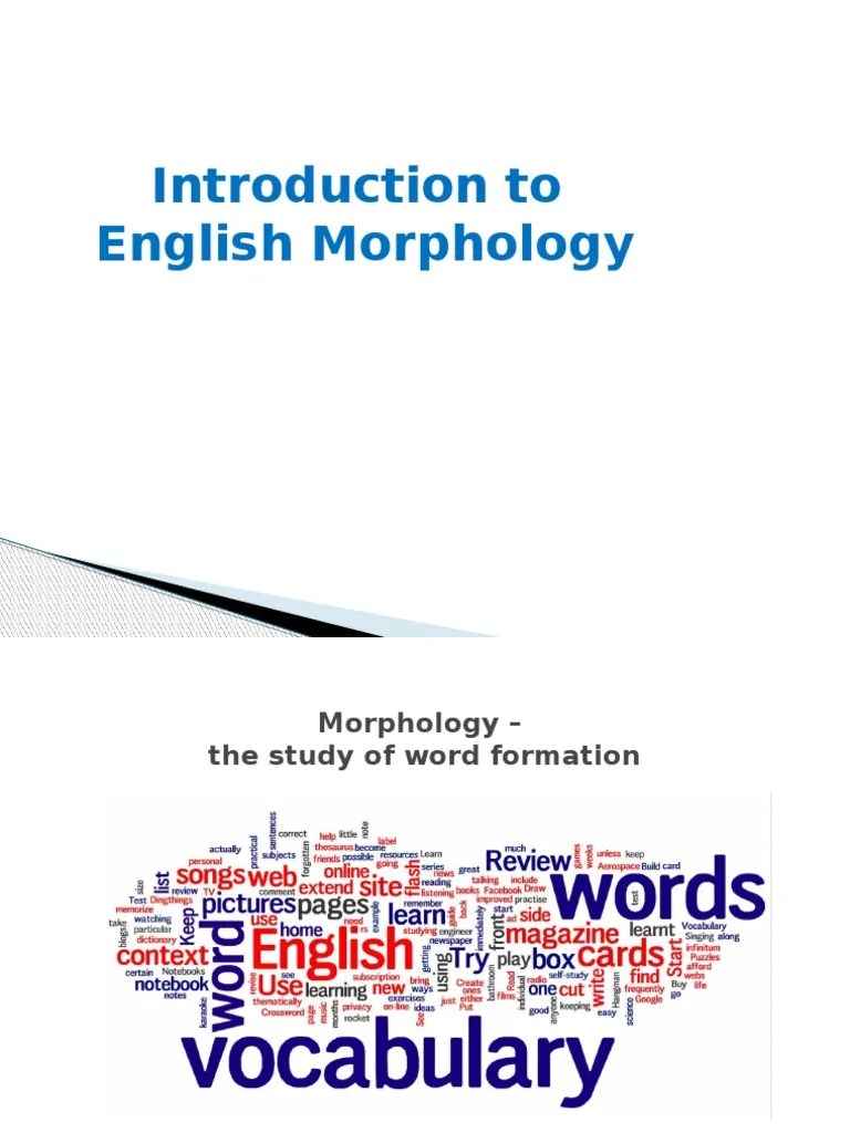 English Morphology Basics | PDF | Morphology (Linguistics) | Word