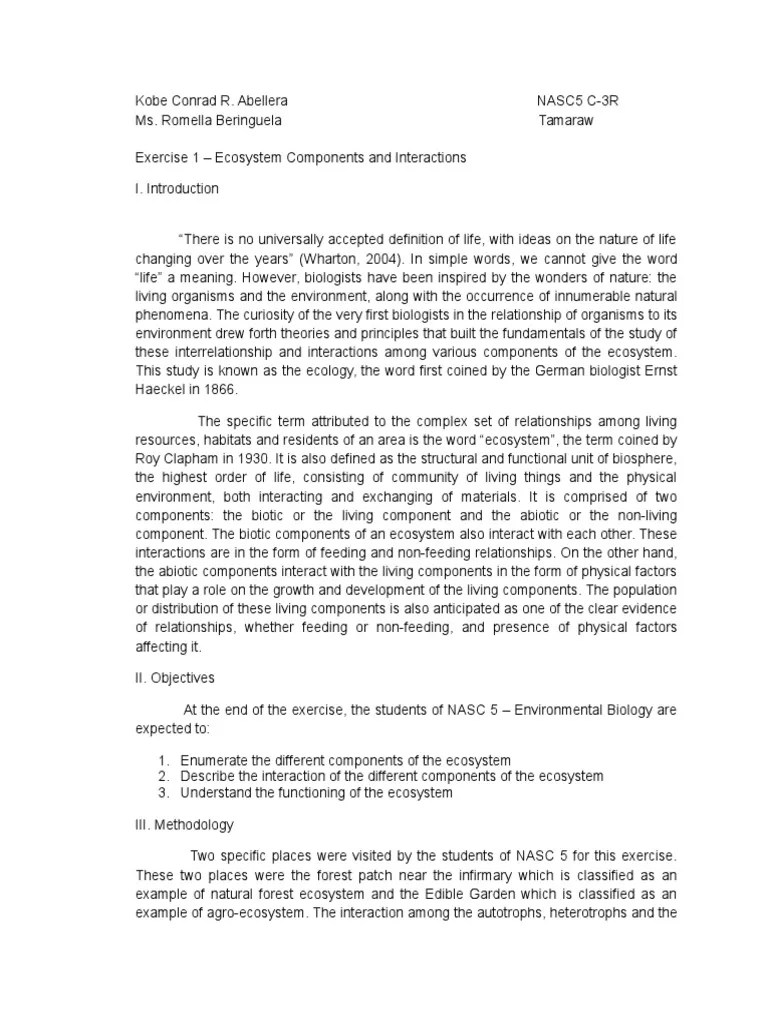 Ecosystem Components And Interactions | PDF | Ecosystem | Food Web