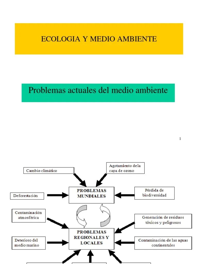 Problemas Ambientales PDF | PDF | Contaminación | Los Bosques