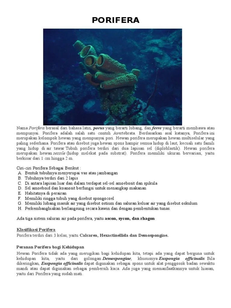 Semua binatang heterotrof, artinya tidak membuat energi sendiri, tetapi harus mengambil dari lingkungan sekitar. Tugas Biologi Intan