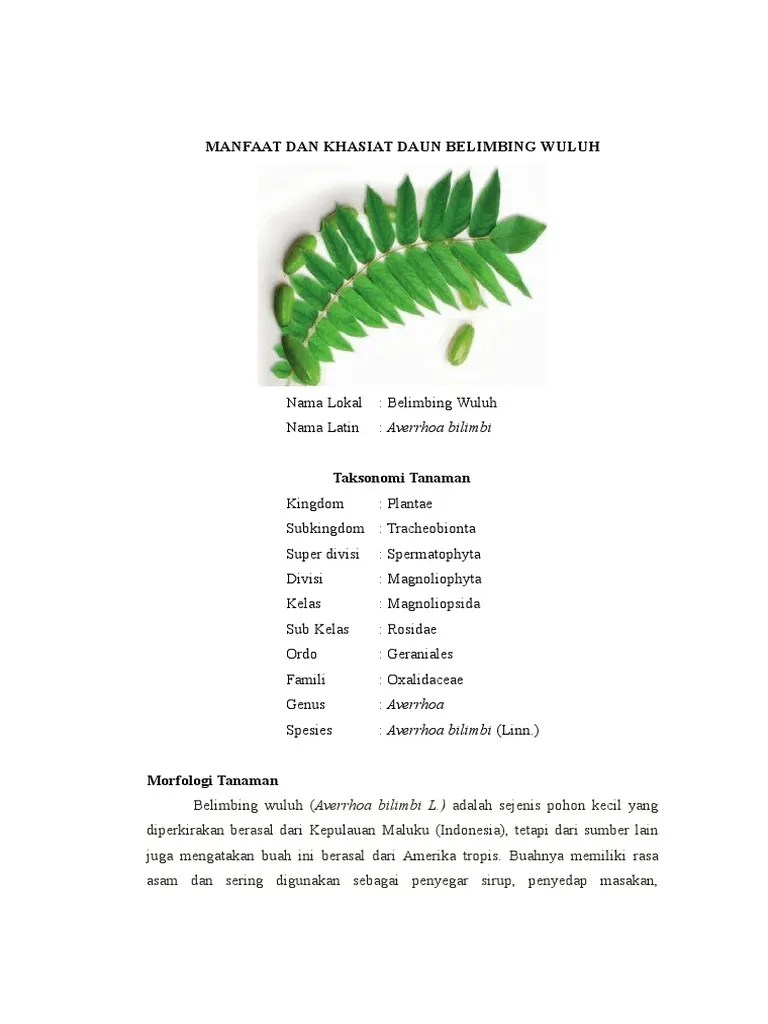 Daun Belimbing Wuluh | PDF