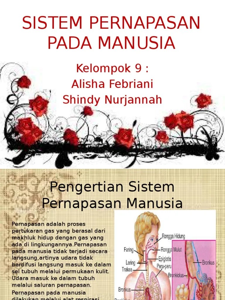 Silabus sistem pencernaan, sistem pernafasan dan sistem peredaran darah. Soal Sistem Pernapasan Pada Manusia Kelas 8 Doc Masnurul