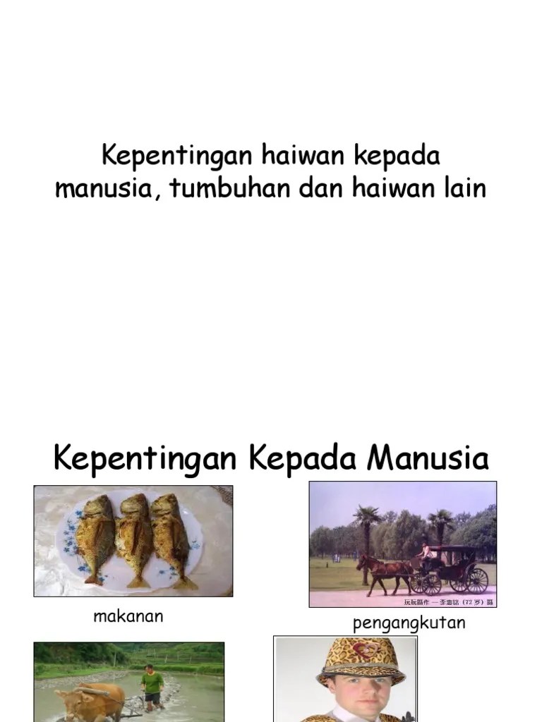 Hakikatnya, hutan merupakan kawasan alam semula jadi dan khazanah yang tidak ternilai harganya. Kepentingan Haiwan Kepada Manusia, Tumbuhan Dan Haiwan