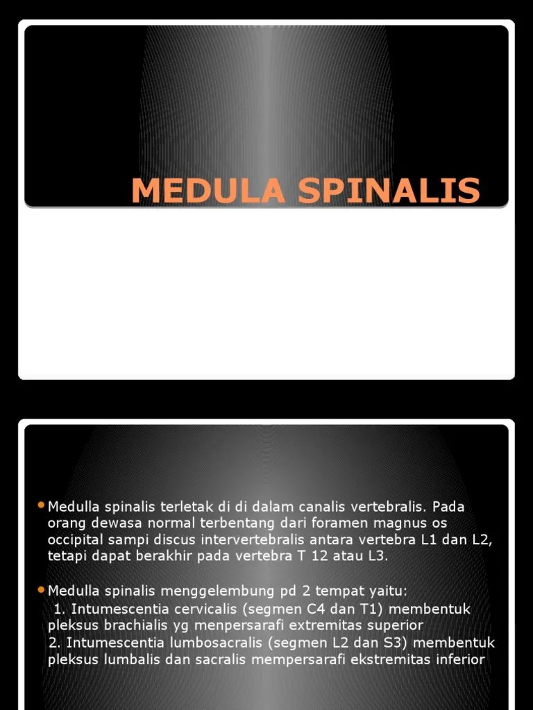 Medula Spinalis | PDF