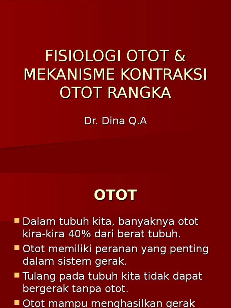 Fisiologi Otot &amp; Mekanisme Kontraksi Otot Rangka | PDF