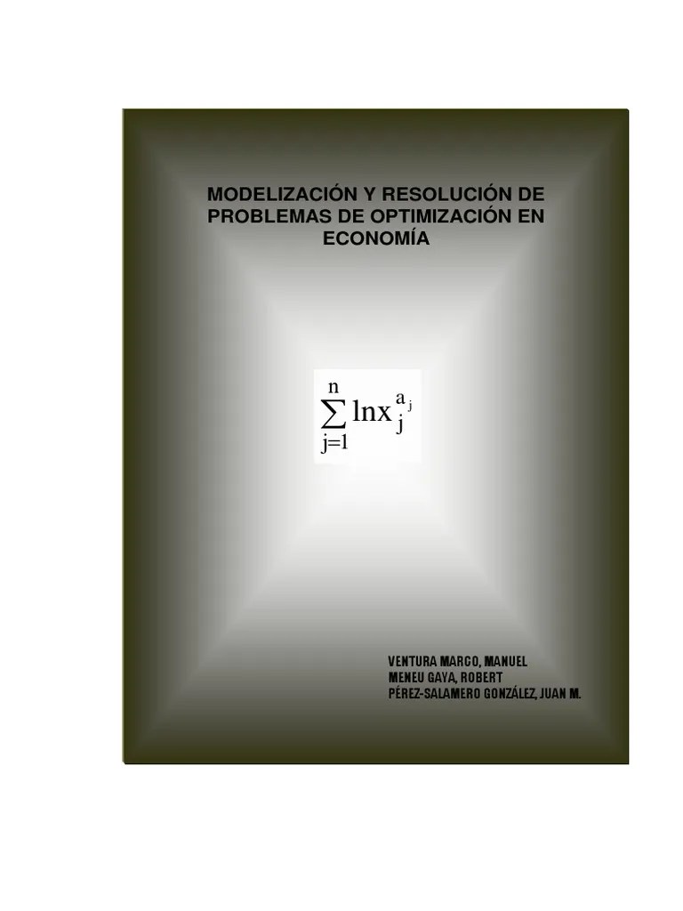 Modelizacióny Resoluciónde Problemasde Optimizaciónen Economía | PDF ...