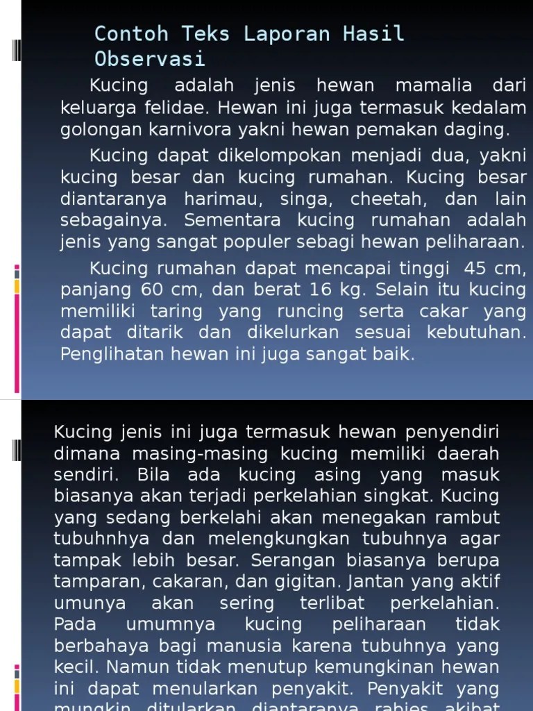 Contoh Laporan Hasil Observasi Tentang Hewan Audit Kinerja 
