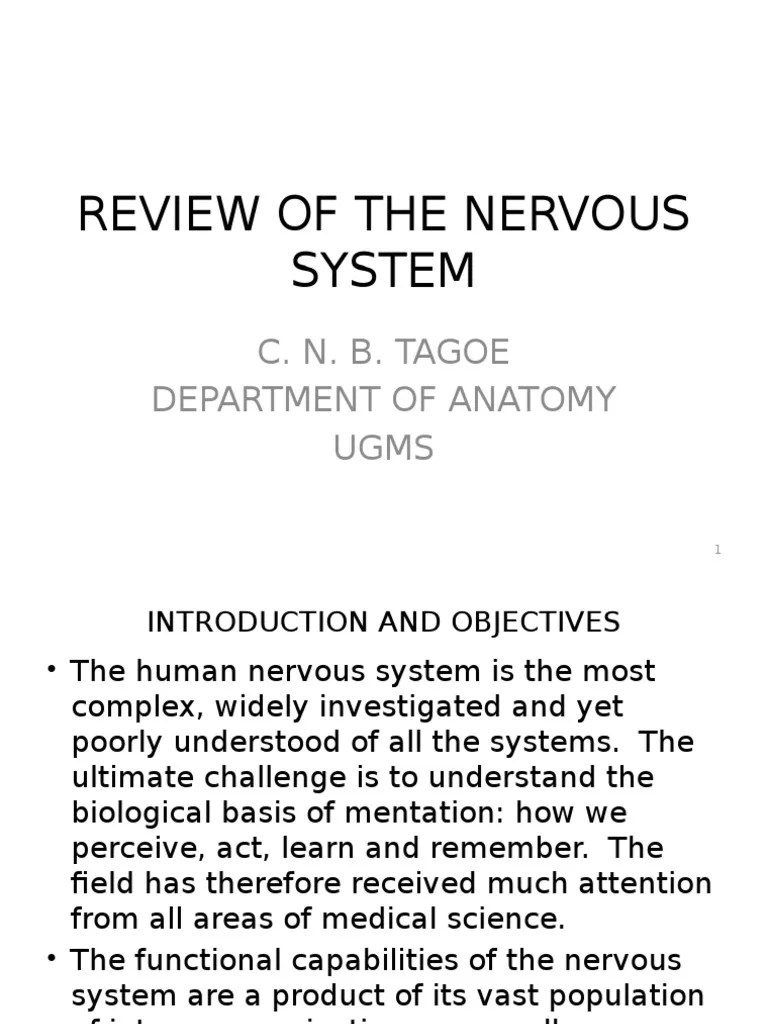 Review Of The Nervous System | PDF | Autonomic Nervous System | Nervous ...