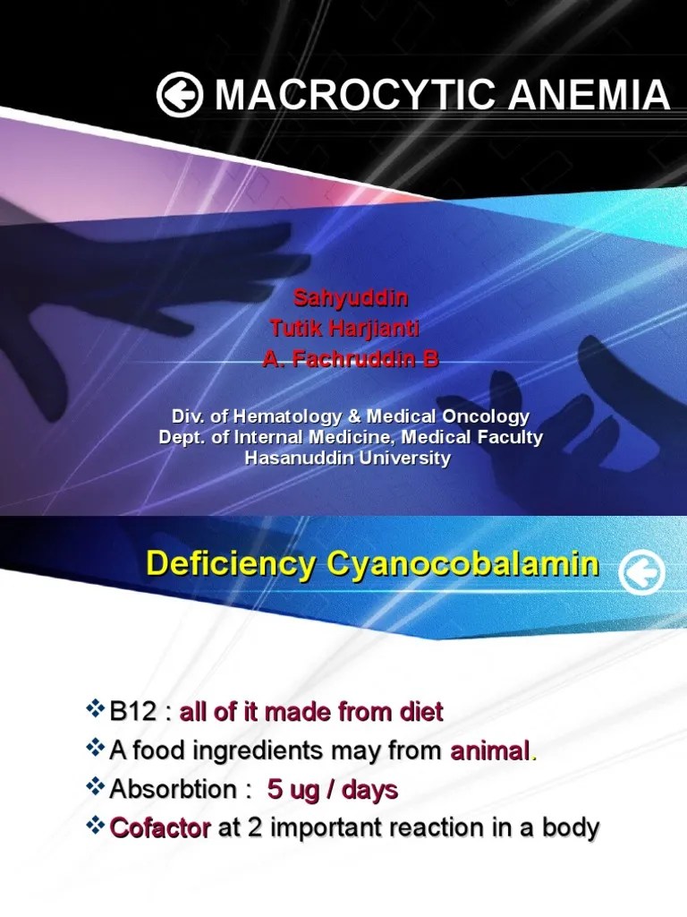 Macrocytic Anemia (New) | PDF | Anemia | Vitamin B12