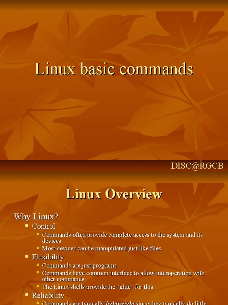 Linux Workshop | Download Free PDF | Command Line Interface | Computer ...