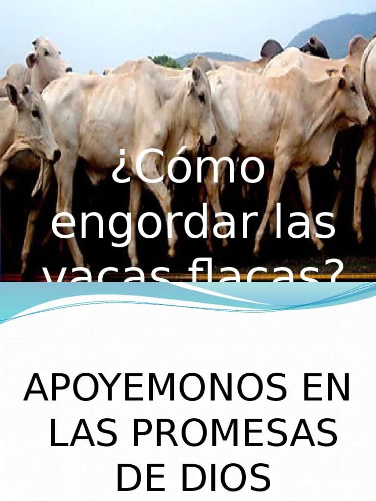 Plan lector algar con algar, leer te va a gustar propuesta didáctica propuestas didácticas referidas al libro actividades 1. Cómo Engordar Las Vacas Flacas | Creencia religiosa y ...