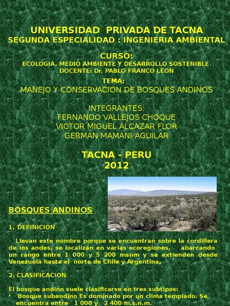 Manejo Y Conservacion De Bosques Andinos | PDF | Gestión De Bosques | Los Bosques