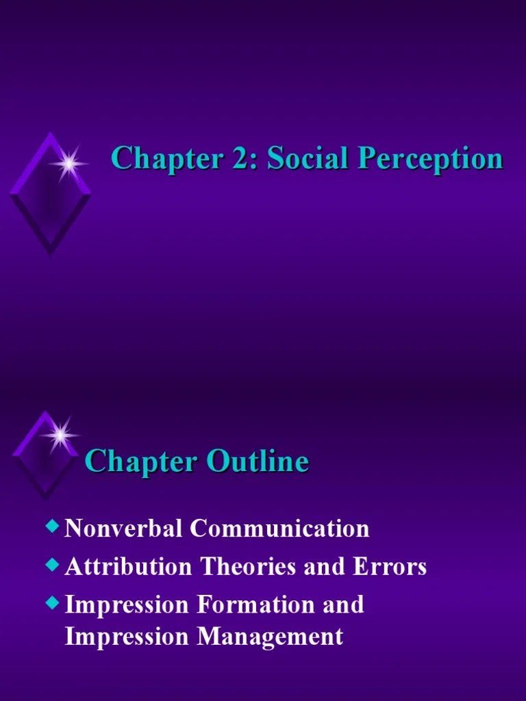 Social Perception | PDF | Social Psychology | Nonverbal Communication