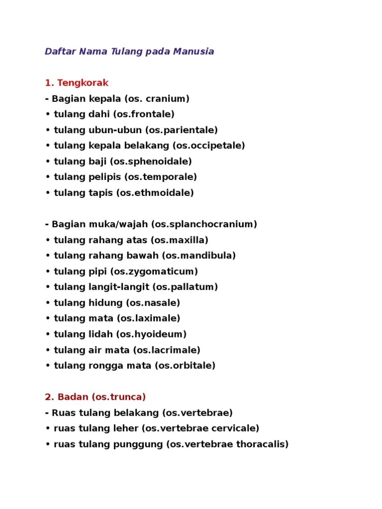 Daftar Nama Tulang Pada Manusia | PDF