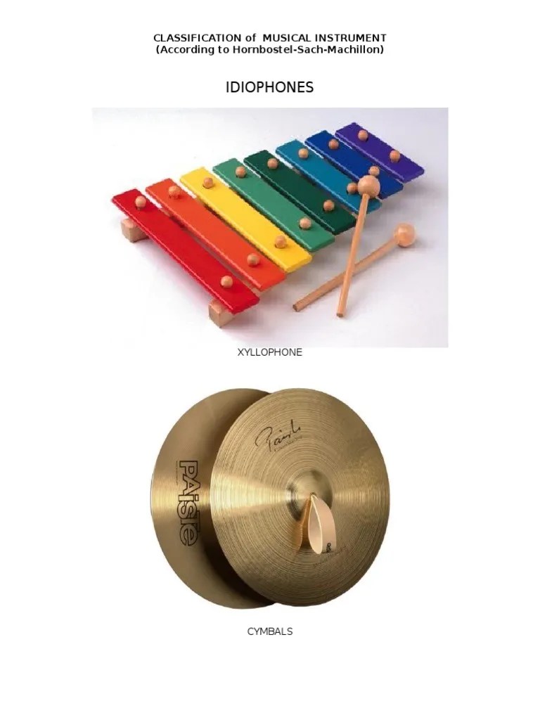 Musical Instrument Idiophones and Membranophones | PDF