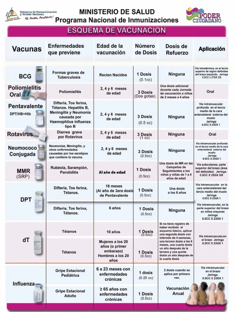 Esquema De Vacunación MINSA | PDF