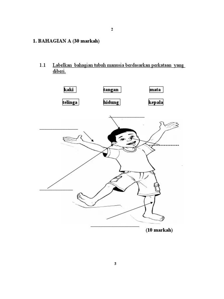 Soalan bi tahun 1, soalan bm tahun 1, soalan dunia sains tahun 1, soalan matematik tahun1, soalan math tahun 1, soalan sains tahun 1. Soalan BM Bahasa Melayu Penulisan Tahun 1