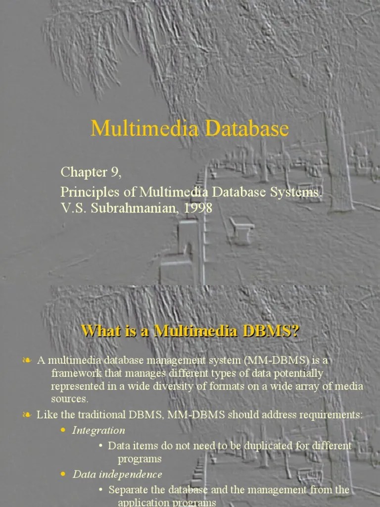 Multimedia Database | PDF | Databases | Metadata