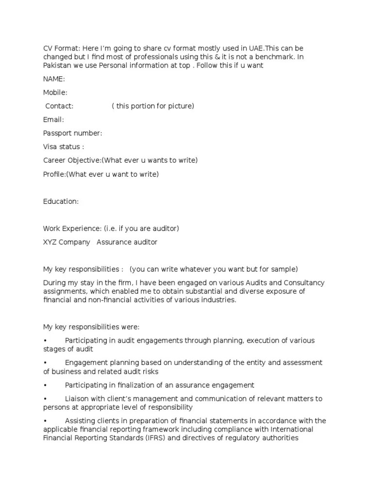 Dubai CV Format | PDF | Audit | Financial Statement