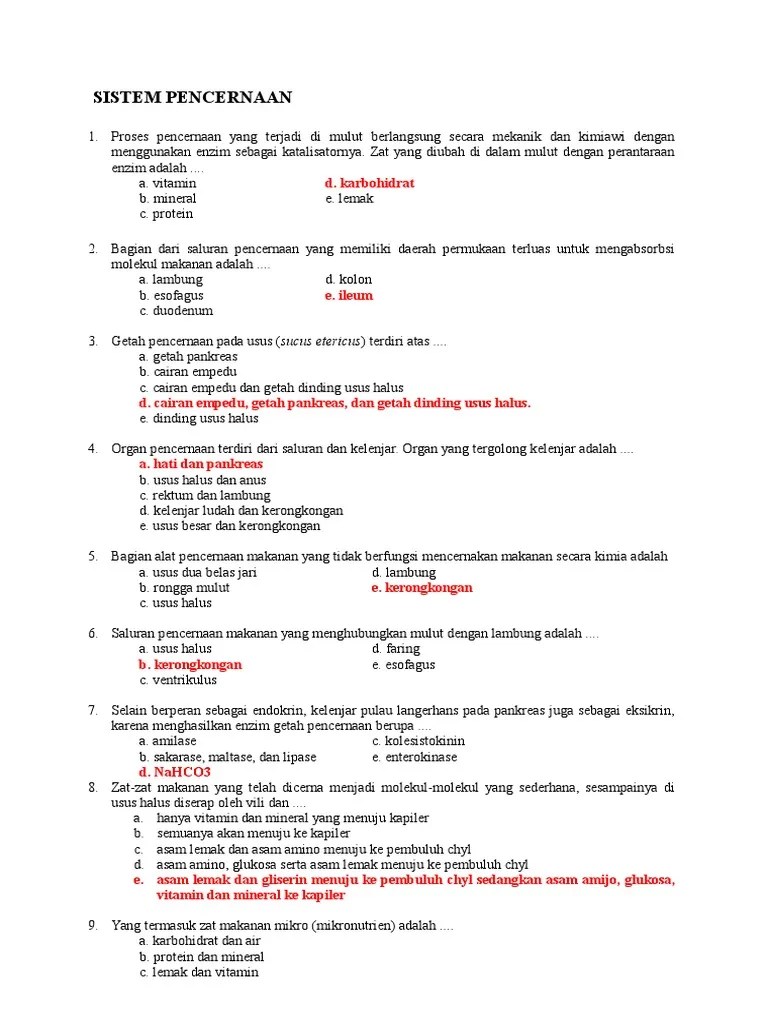 Pencernaan Makanan Yang Berlangsung Secara Mekanik Dan Kimiawi Terjadi Di  Organ – Python