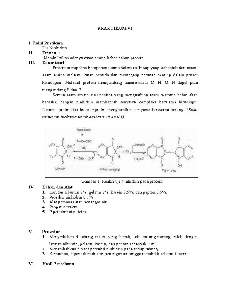 Uji Ninhidrin | PDF
