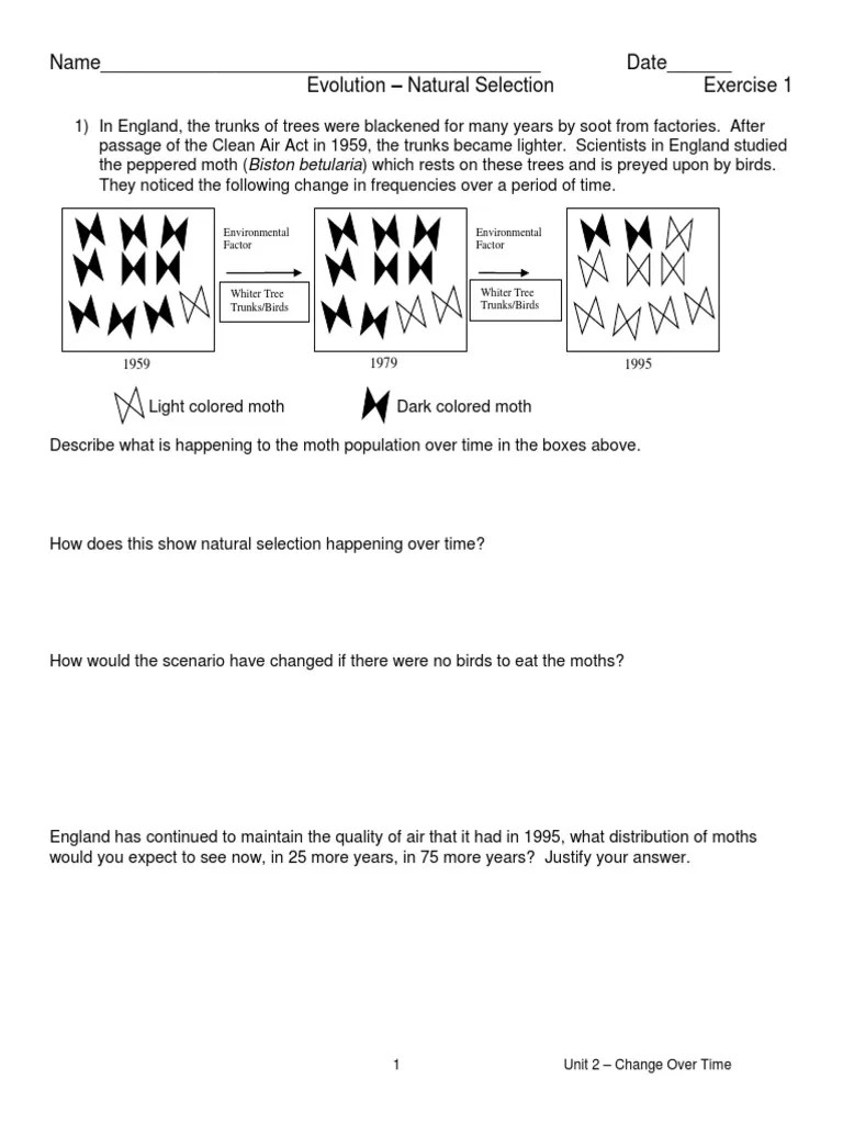Pale and dark coloured peppered moths on silver birch tree trunk. Natural Selection Worksheet 1 Pdf