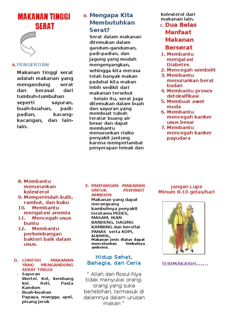 Diet Tinggi Serat | PDF