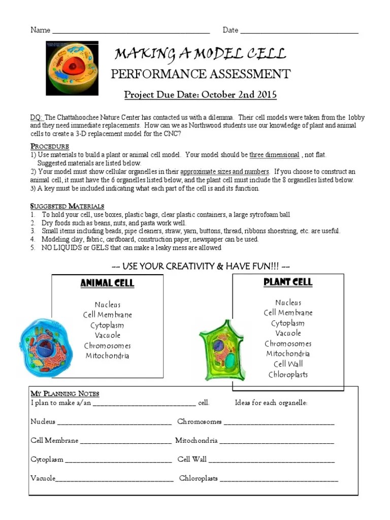 3d Cell Model Project Rubric