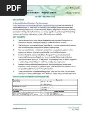 Kiwi Bird Facts Worksheets Description Behaviour For Kids 