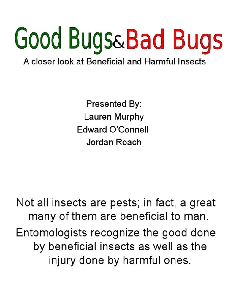 Beneficial And Harmful Insects | PDF | Insects | Bees