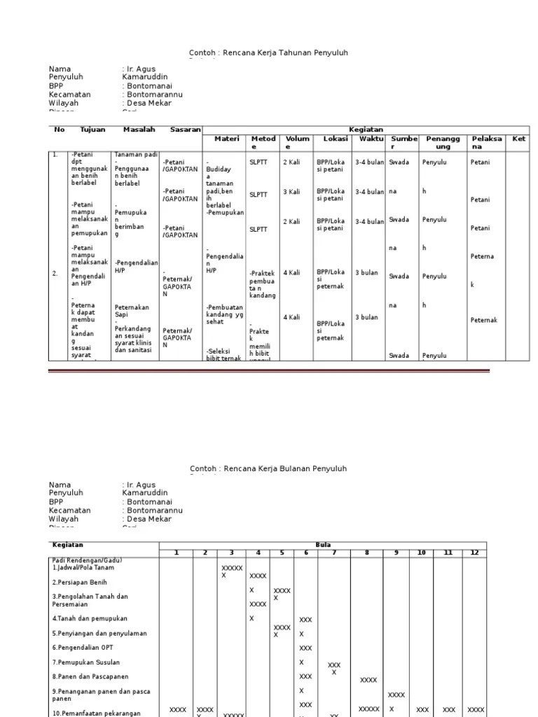 Ahli Rencana Kerja Tahunan Penyuluh | PDF