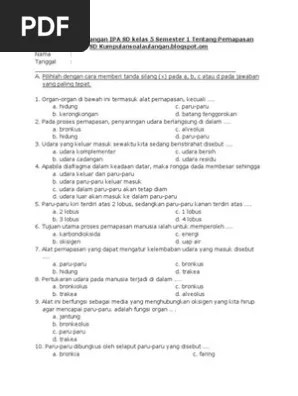 110 Contoh Soal C1 Sampai C6 Ipa Sd Kelas 4 Jawaban Dikdasmen
