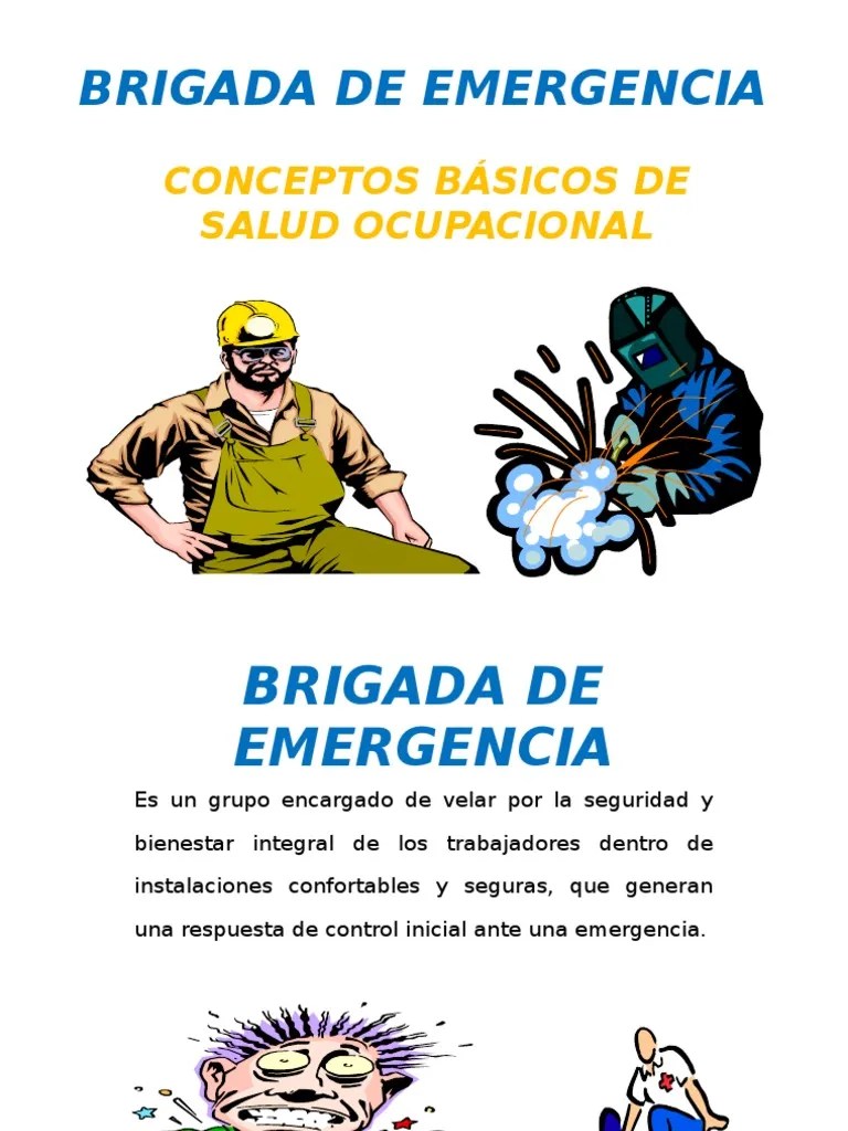 Capacitación Brigada De Emergencia | PDF | Combustión | Andamio