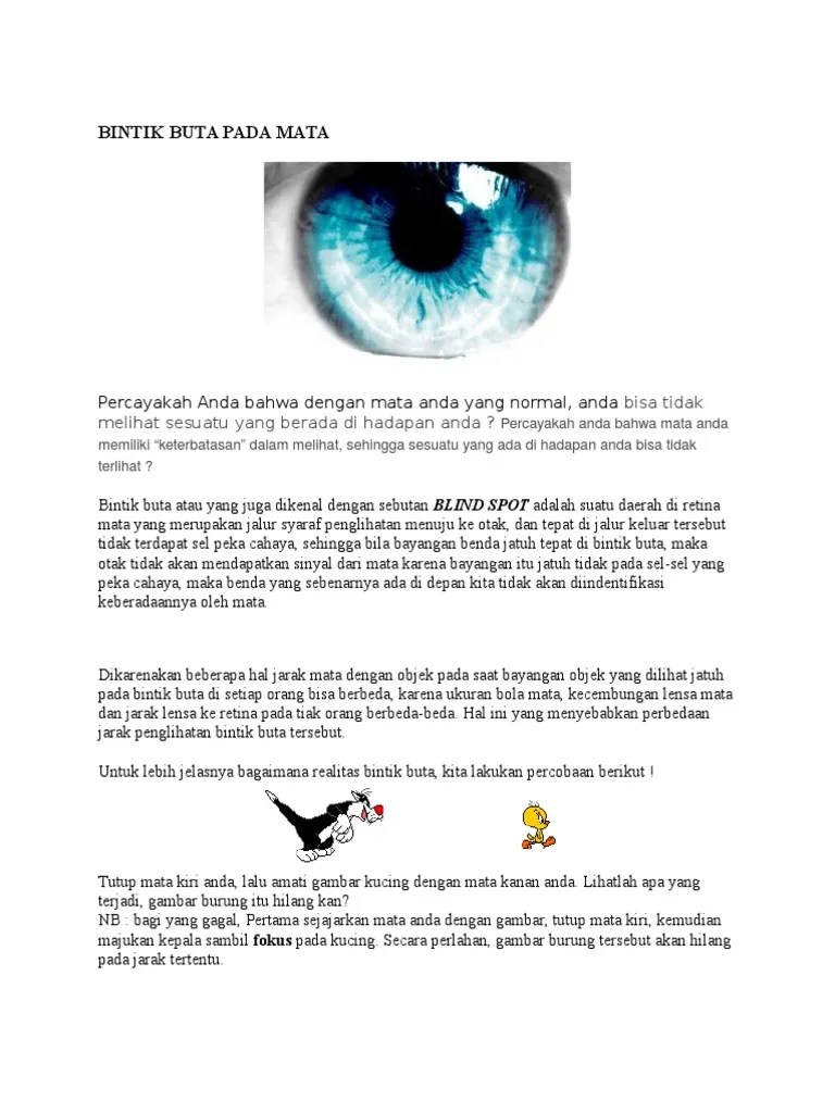 Bintik Buta Pada Mata | PDF