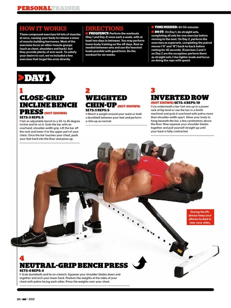 ultimate arms workout human anatomy recreation