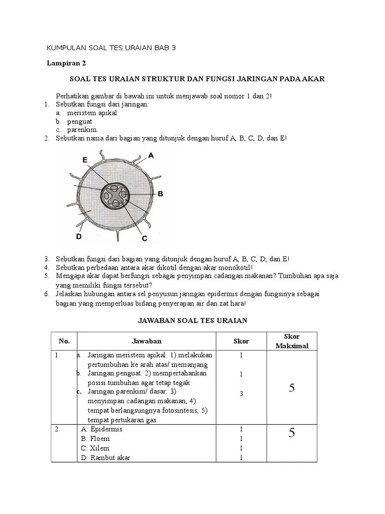Contoh Soal Essay Dan Uraian Ipa Smp Mts Mid Semester Genap 