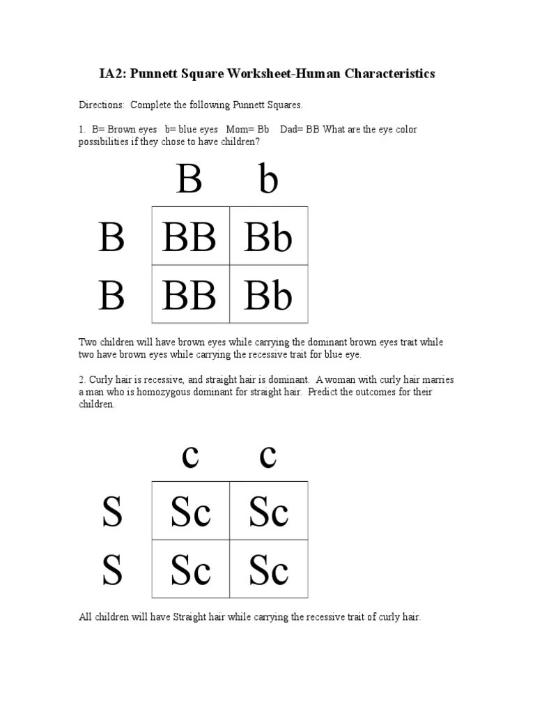 Punnett square worksheet black is the dominant fur color for rabbits and white is the recessive. Punnett Genetics Problems 1 Pdf Dominance Genetics Genetics