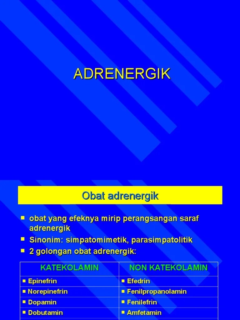 Farmakologi Obat Adrenergik | PDF