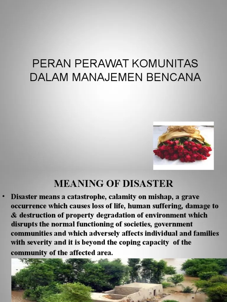 Peran Perawat Dalam Darurat Bencana | PDF | Emergency Management | Nursing