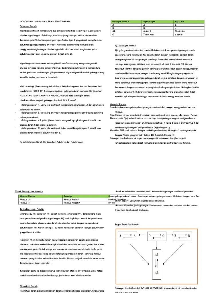 Golongan Darah Dan Transfusi Darah | PDF
